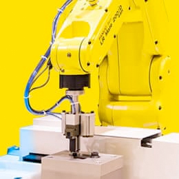 Fanuc - Robot with Flex Feeder